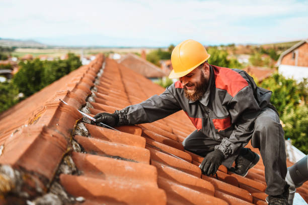 Protech Roofing Solutions